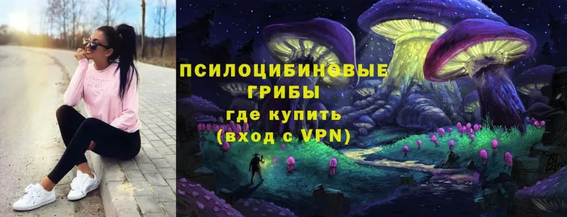 Галлюциногенные грибы Cubensis  купить   Осташков 